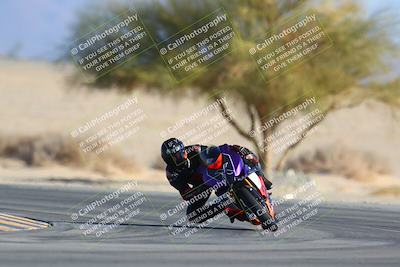 media/Jan-14-2024-SoCal Trackdays (Sun) [[2e55ec21a6]]/Turn 4 Tree of Life (155pm)/